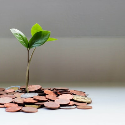 Personal Tax